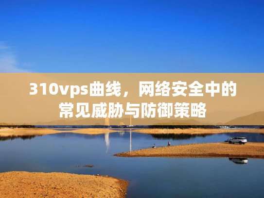 310vps曲线，网络安全中的常见威胁与防御策略