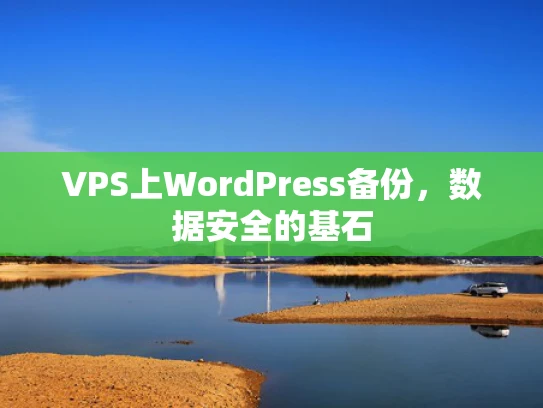 VPS上WordPress备份，数据安全的基石