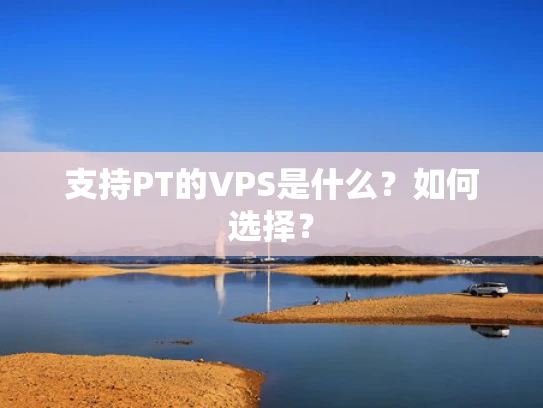 支持PT的VPS是什么？如何选择？