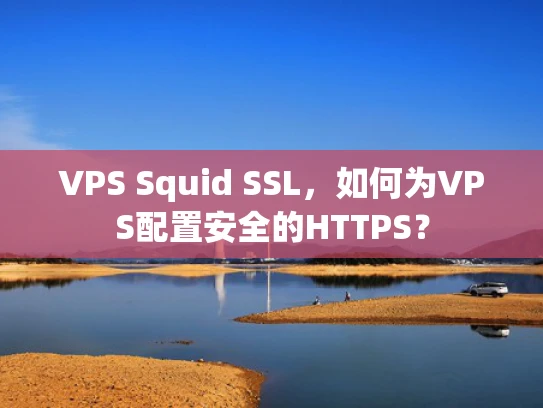 VPS Squid SSL，如何为VPS配置安全的HTTPS？