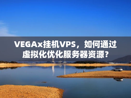 VEGAx挂机VPS，如何通过虚拟化优化服务器资源？