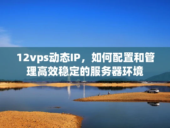 12vps动态IP，如何配置和管理高效稳定的服务器环境