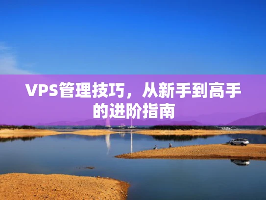 VPS管理技巧，从新手到高手的进阶指南
