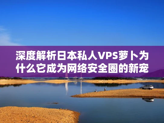 深度解析日本私人VPS萝卜为什么它成为网络安全圈的新宠？