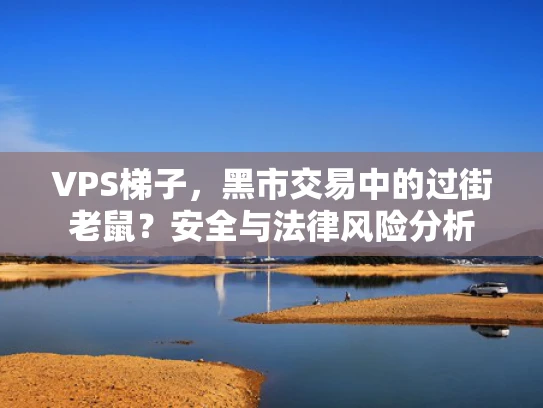 VPS梯子，黑市交易中的过街老鼠？安全与法律风险分析