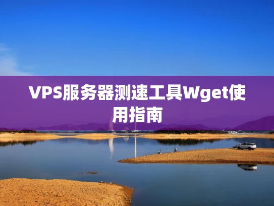 VPS服务器测速工具Wget使用指南