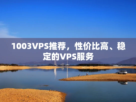 1003VPS推荐，性价比高、稳定的VPS服务