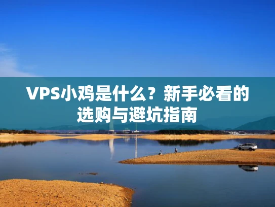 VPS小鸡是什么？新手必看的选购与避坑指南