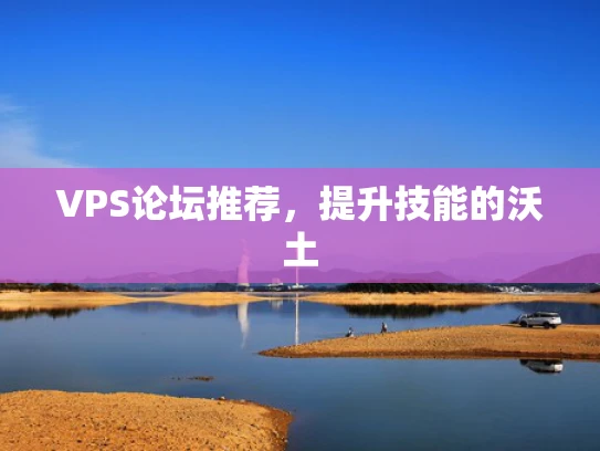 VPS论坛推荐，提升技能的沃土