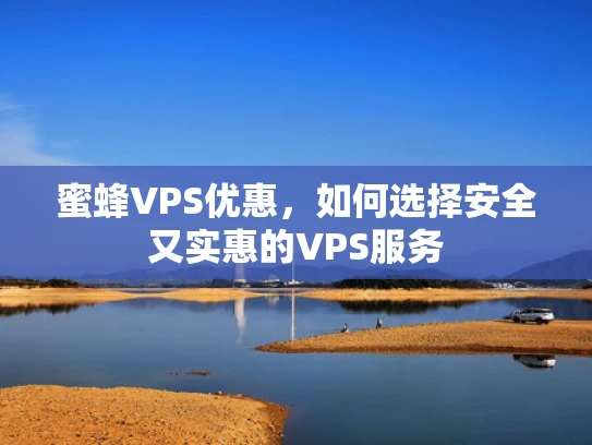 蜜蜂VPS优惠，如何选择安全又实惠的VPS服务