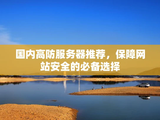 国内高防服务器推荐，保障网站安全的必备选择