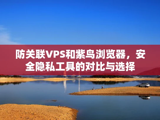 防关联VPS和紫鸟浏览器，安全隐私工具的对比与选择