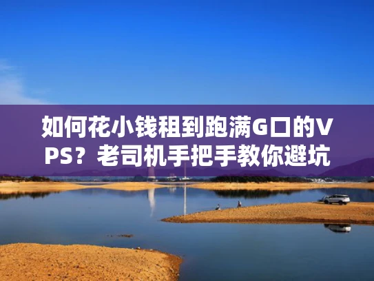 如何花小钱租到跑满G口的VPS？老司机手把手教你避坑