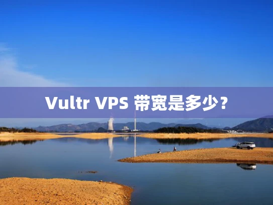 Vultr VPS 带宽是多少？