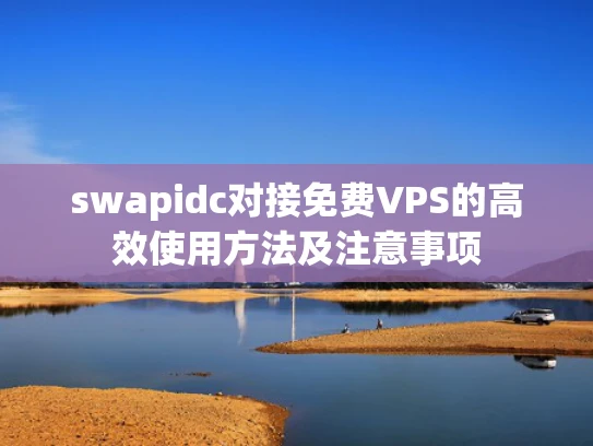 swapidc对接免费VPS的高效使用方法及注意事项