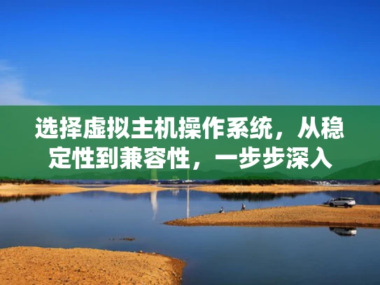 选择虚拟主机操作系统，从稳定性到兼容性，一步步深入