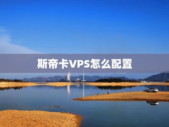 斯帝卡VPS怎么配置