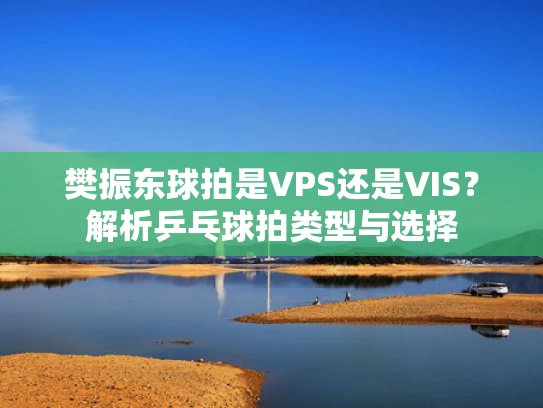 樊振东球拍是VPS还是VIS？解析乒乓球拍类型与选择