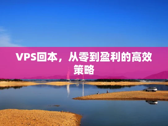 VPS回本，从零到盈利的高效策略