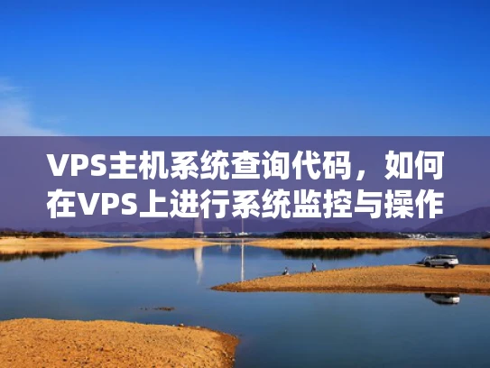 VPS主机系统查询代码，如何在VPS上进行系统监控与操作