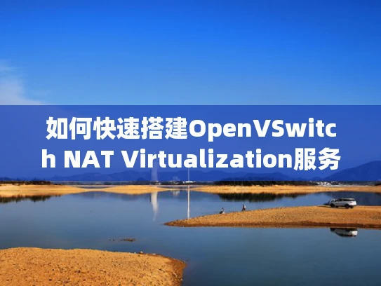 如何快速搭建OpenVSwitch NAT Virtualization服务？