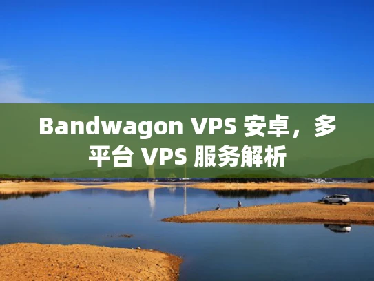 Bandwagon VPS 安卓，多平台 VPS 服务解析