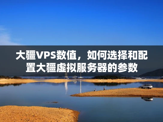 大疆VPS数值，如何选择和配置大疆虚拟服务器的参数
