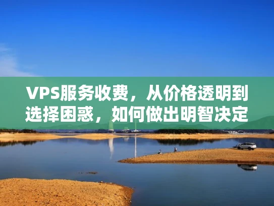 VPS服务收费，从价格透明到选择困惑，如何做出明智决定？