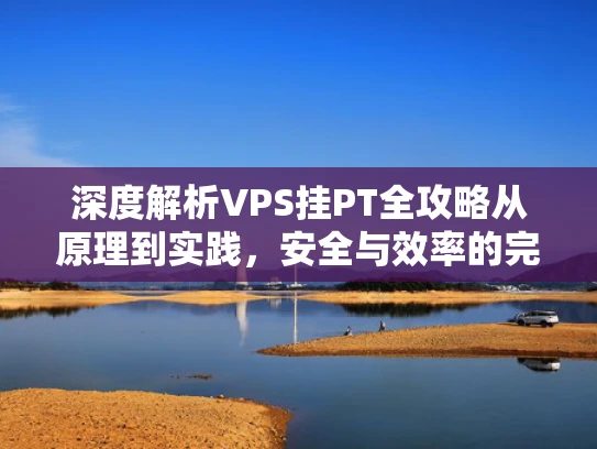 深度解析VPS挂PT全攻略从原理到实践，安全与效率的完美平衡