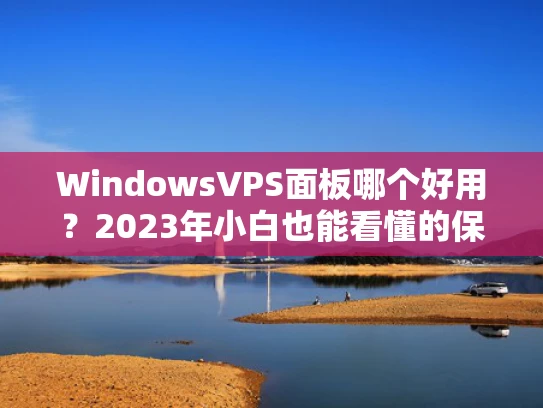 WindowsVPS面板哪个好用？2023年小白也能看懂的保姆级攻略