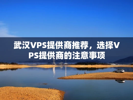 武汉VPS提供商推荐，选择VPS提供商的注意事项