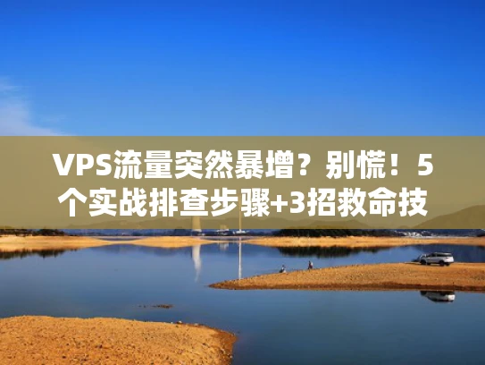 VPS流量突然暴增？别慌！5个实战排查步骤+3招救命技巧