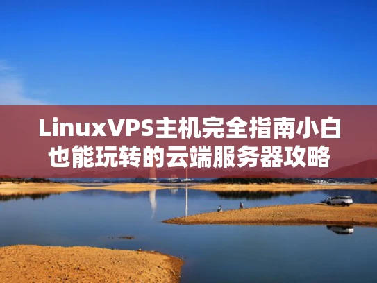 LinuxVPS主机完全指南小白也能玩转的云端服务器攻略