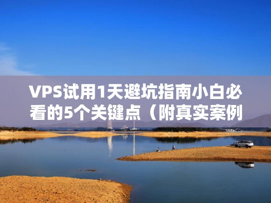 VPS试用1天避坑指南小白必看的5个关键点（附真实案例）