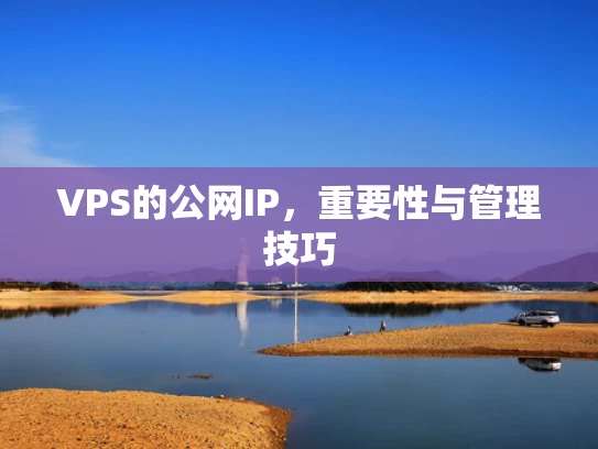 VPS的公网IP，重要性与管理技巧