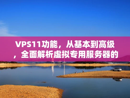 VPS11功能，从基本到高级，全面解析虚拟专用服务器的功能