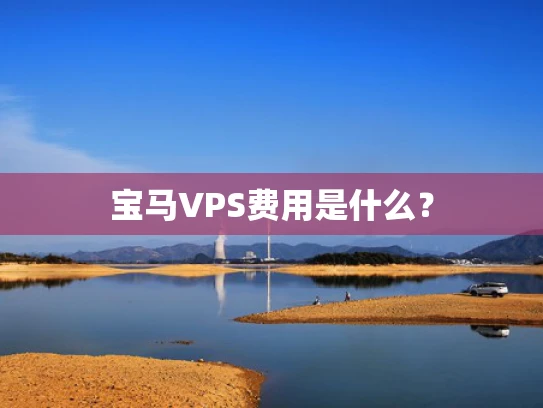 宝马VPS费用是什么？