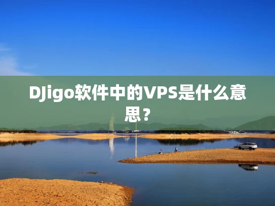 DJigo软件中的VPS是什么意思？