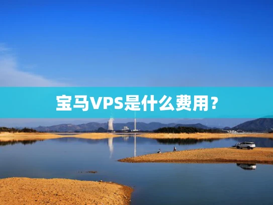 宝马VPS是什么费用？