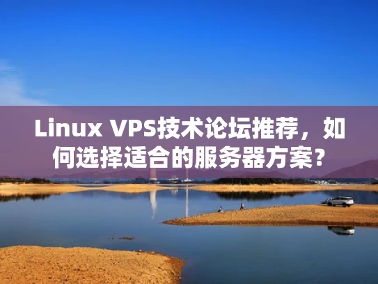 Linux VPS技术论坛推荐，如何选择适合的服务器方案？