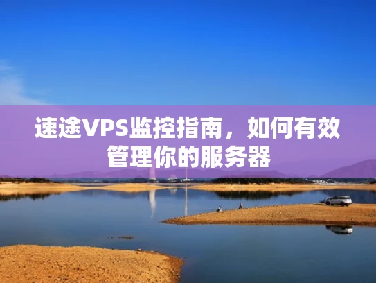 速途VPS监控指南，如何有效管理你的服务器