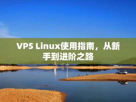 VPS Linux使用指南，从新手到进阶之路