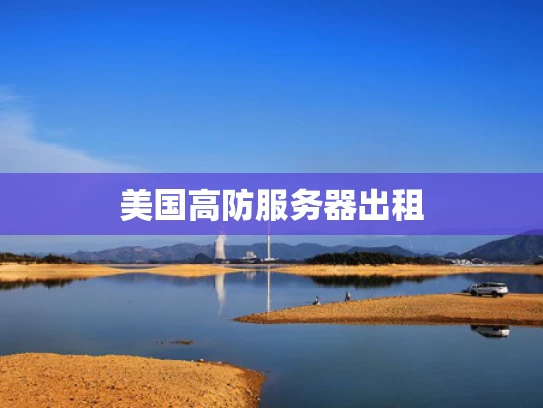 美国高防服务器出租