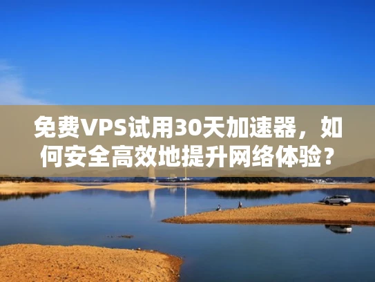 免费VPS试用30天加速器，如何安全高效地提升网络体验？