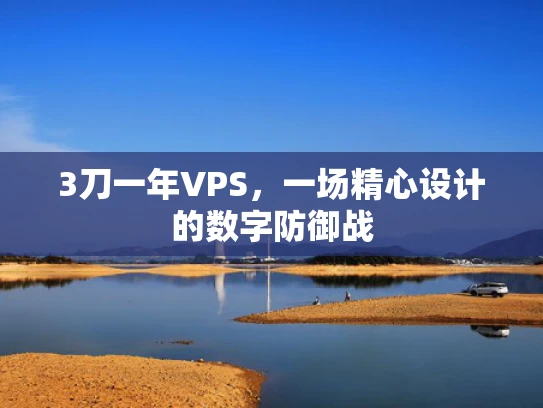 3刀一年VPS，一场精心设计的数字防御战
