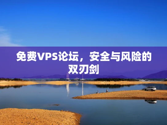 免费VPS论坛，安全与风险的双刃剑