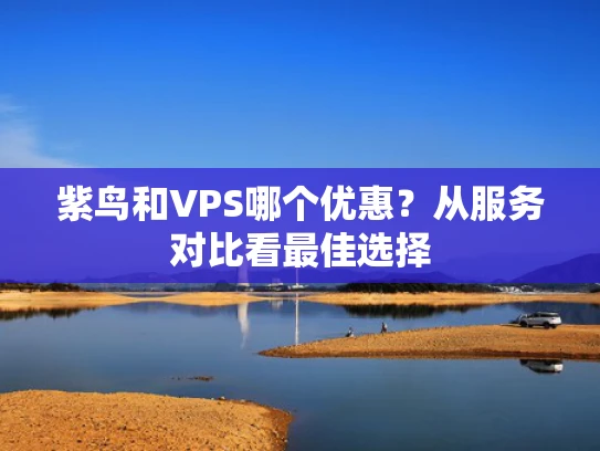 紫鸟和VPS哪个优惠？从服务对比看最佳选择