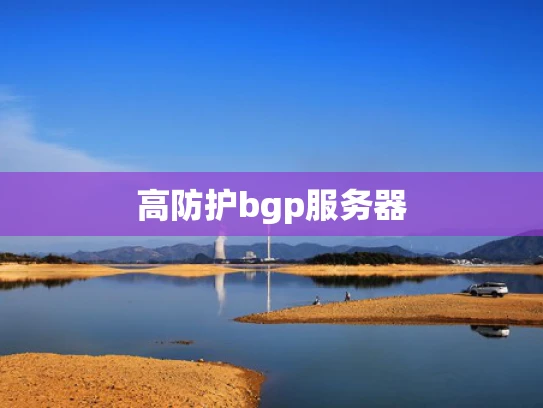 高防护bgp服务器