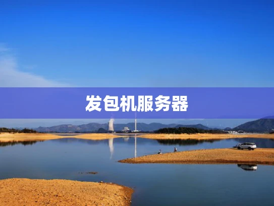 发包机服务器