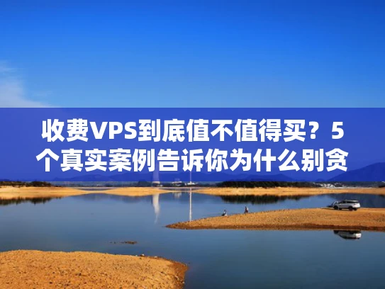 收费VPS到底值不值得买？5个真实案例告诉你为什么别贪便宜！
